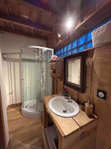 une salle de bain avec un lavabo et une douche en verre dans l'établissement Gîte La Forêt du Domaine des Aguilès, à Nistos