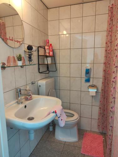 a bathroom with a sink and a toilet at Hotel B&B LeLa in Valkenburg