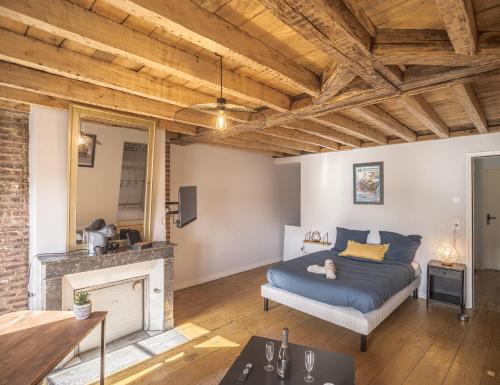 - un salon avec un lit et une cheminée dans l'établissement Résidence Chez Suzanne - Maison - Hypercentre, à Troyes