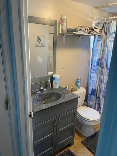 ein Bad mit einem Waschbecken und einem WC in der Unterkunft Mo Short Term Rentals in Mount Vernon