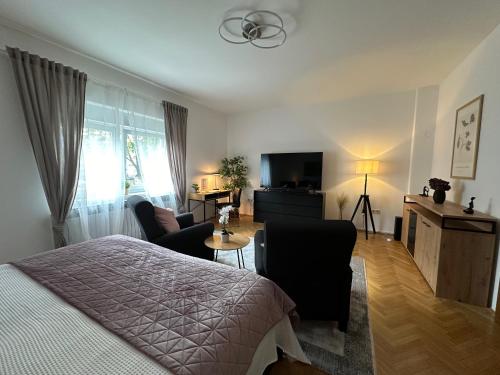 a bedroom with a bed and a chair and a television at Maksimirhouse in Zagreb