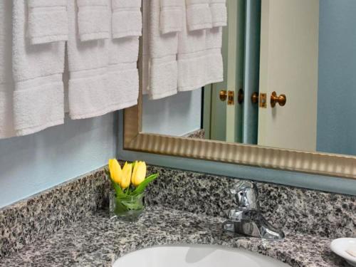 a bathroom sink with a mirror and yellow flowers at Sonesta ES Suites Omaha in Omaha