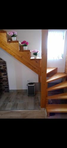 Una habitación con escaleras y flores en macetas. en Vikendica Rosi 