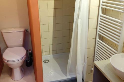 a bathroom with a toilet and a shower and a sink at La Patte Charentaise Parking gratuit Le calme en ville in Saintes