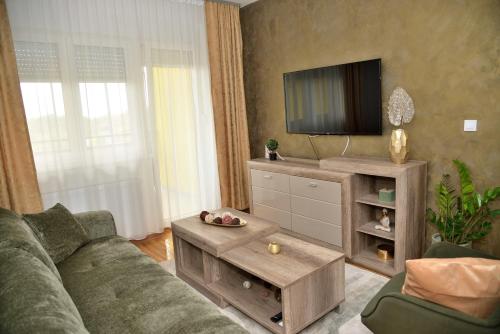 een woonkamer met een bank en een tv bij LUX APARTMAN PANORAMA in Bečej