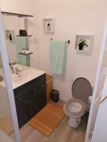 une salle de bain avec toilettes, lavabo et miroir dans l'établissement SCI la malinoise, à Albon