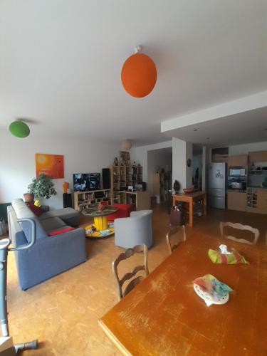 uma sala de estar com um sofá e uma mesa em Loft Berriat/Ampère em Grenoble