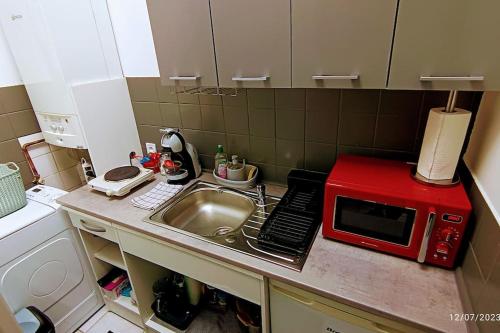 cocina con fregadero y microondas rojo en Petit studio pour 4 personnes avec coin jardin, en Le Blanc-Mesnil