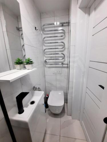 ein weißes Bad mit einem WC und einem Waschbecken in der Unterkunft P Komunos Apartamentai Netoli Akropolio in Klaipėda