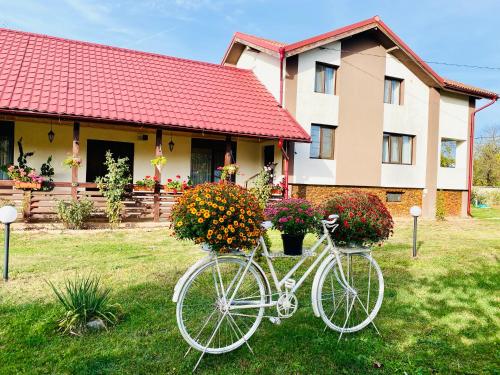 Jízda na kole v ubytování Serenity Garden Villa nebo okolí