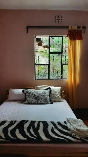 ein Bett mit einem Kissen mit Zebramuster und einem Fenster in der Unterkunft Mama Aziz Homestay in Arusha