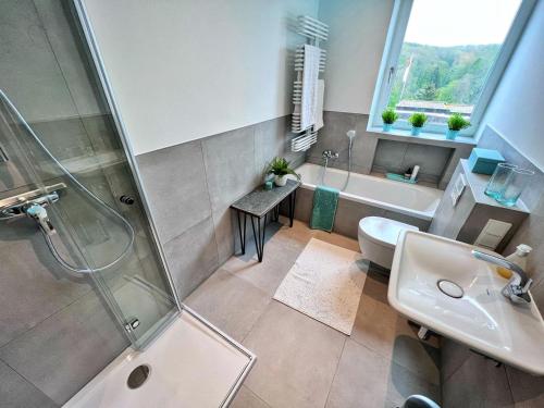 W łazience znajduje się prysznic, umywalka i toaleta. w obiekcie 4-Sterne Ferienwohnung Waldblick Schweinfurt w mieście Schweinfurt