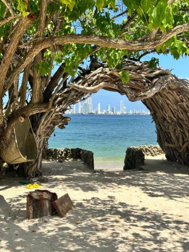 a tree on the beach with a view of the water at Namaste Beach Club & Hotel in Tierra Bomba