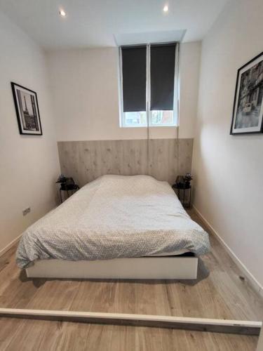 une chambre avec un lit dans une pièce avec deux fenêtres dans l'établissement Grand volume calme centre-ville Tan1, à Cambrai