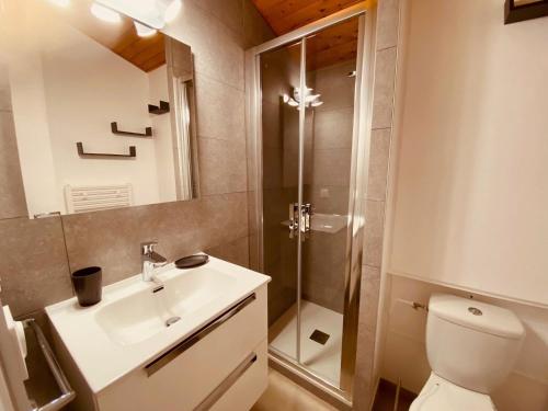 une salle de bain avec toilettes, lavabo et douche dans l'établissement Appartement cosy 4 pers. avec balcon et vue à La Clusaz - FR-1-459-218, à La Clusaz
