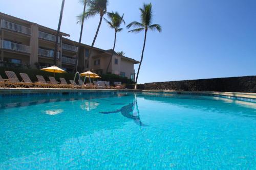 a dolphin swimming in a large swimming pool with palm trees at Sea Village in Kailua-Kona