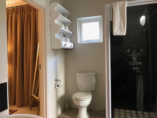 a bathroom with a toilet and a window and a shower at Gooding's Olive Villa in Franschhoek
