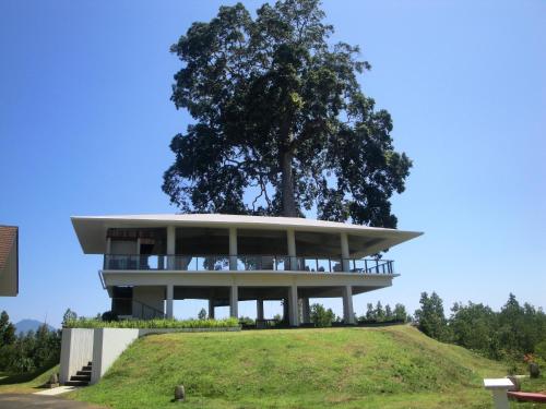a house on top of a hill with a tree at Grand Luley Manado in Manado