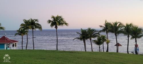 a group of palm trees on a hill next to the ocean at Studio Mer 2/3 à 4 pers - face à la mer in Courcelles Sucrerie
