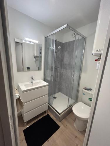 a bathroom with a shower and a sink and a toilet at Appartement le petit Royal in Cormelles