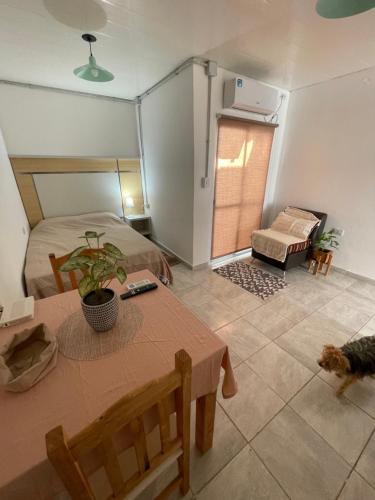 een kamer met een bed en een tafel en een kat bij El Catorce Departamento Temporario in Formosa
