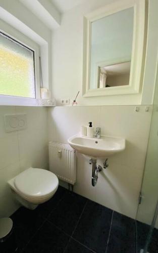 a bathroom with a toilet and a sink and a mirror at Ferienwohnung „Marina“ im Schwarzwald in Lörrach