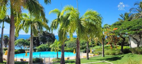 a view of a swimming pool through palm trees at Studio Mer 2/3 à 4 pers - face à la mer in Courcelles Sucrerie