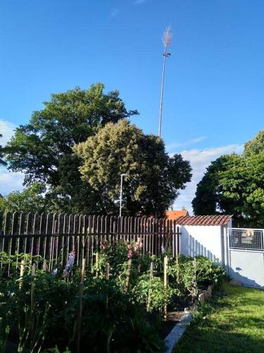 a garden with a wooden fence and flowers at Ubytování na statku - Podolsko in Křenovice