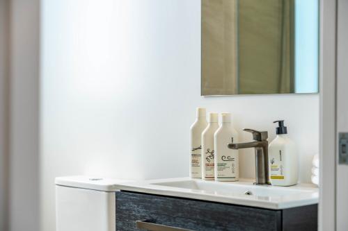 ein Waschbecken mit Seifenflaschen und einem Spiegel in der Unterkunft Majestic Mountain-View Retreat in Wanaka