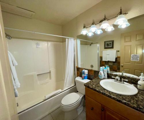 a bathroom with a sink and a toilet and a shower at Lakefront Escape in Big Bear Lake