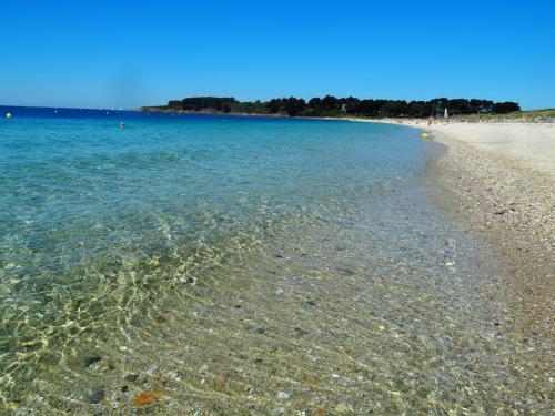 a beach with clear water and a sandy shore at ARZON TERRASSE DE KERJOUANNO in Arzon