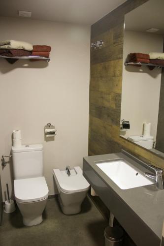 a bathroom with a toilet and a sink and a mirror at Hotel Vall d´Aneu in Esterri d'Àneu