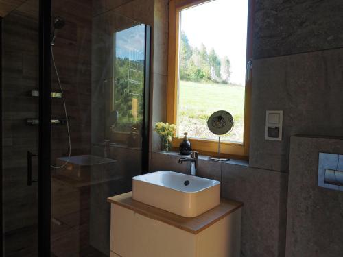 ein Bad mit einem Waschbecken, einer Dusche und einem Fenster in der Unterkunft HillOut - Dom w Milówce - Workation - Praca zdalna in Milówka