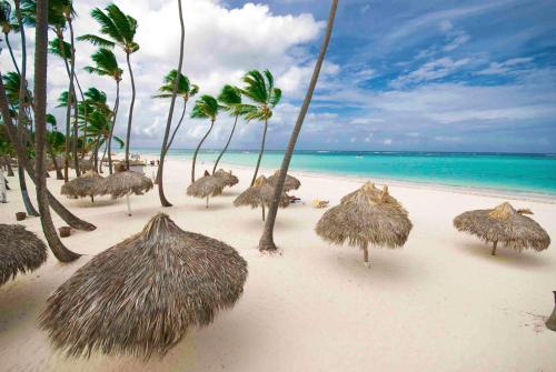 a group of straw umbrellas on a beach with the ocean at Los Corales Beach Village Punta Cana - The original in Punta Cana