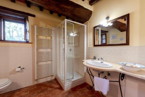 a bathroom with a shower and a sink and a toilet at La Cascina in Castiglione del Lago