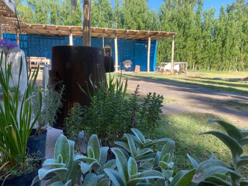 Las tapias – Photos 2