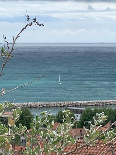 Magnifique vue sur la mer ... photo 15