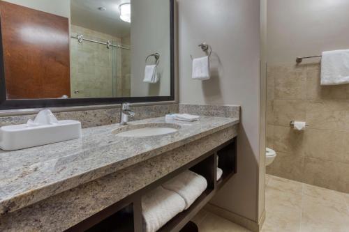 a bathroom with a sink and a mirror and a toilet at Drury Inn & Suites Huntsville Space & Rocket Center in Huntsville