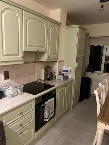 a kitchen with green cabinets and a black sink at 2 St Jude’s Court, Woodlawn Park Grove, Firhouse, Dublin D24H1X4 in Dublin
