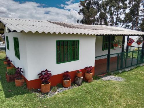 una pequeña casa blanca con macetas en un patio en Finca la Riverita, en Sutamarchán