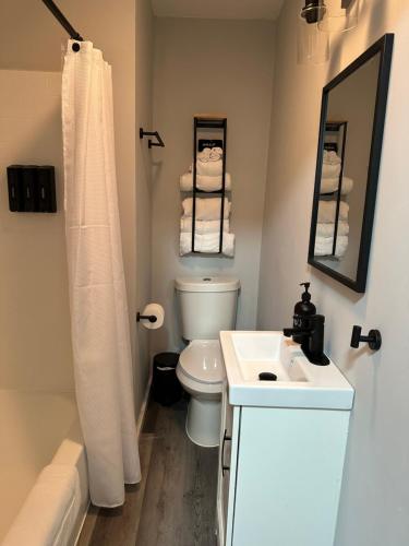 een badkamer met een toilet, een wastafel en een spiegel bij Lake Shafer Resort in Monticello