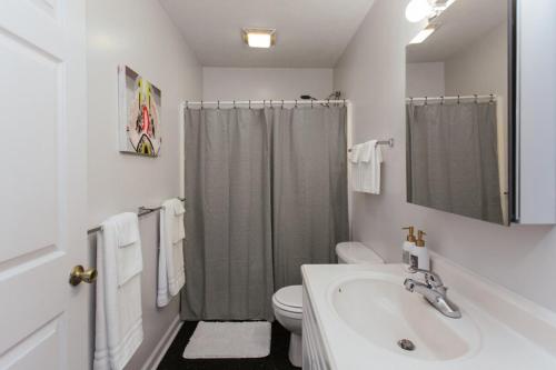 a bathroom with a sink and a toilet and a shower at The Cozy Corner Near Downtown in Athens