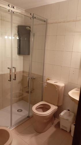 a bathroom with a shower and a toilet and a sink at Habitación en el Centro de Alicante in Alicante
