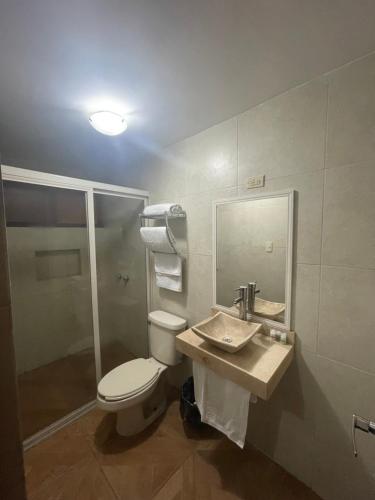 La salle de bains est pourvue de toilettes, d'un lavabo et d'un miroir. dans l'établissement Hotel Plaza Express, à Torreón