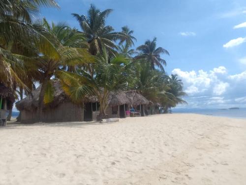 a beach with palm trees and a hut at D-Gunayar Experience in Cabins classic in Arritupo Número Dos