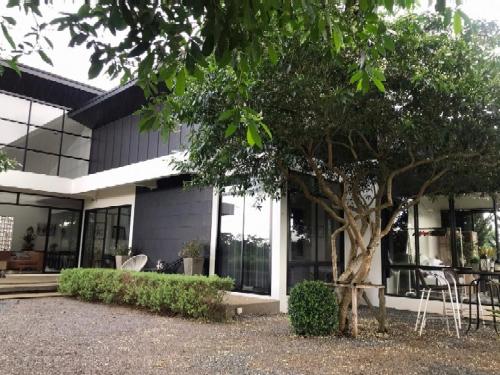 a building with a tree in front of it at THE OAK’S in Chiang Rai