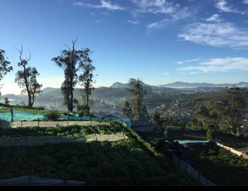 a view of a park with trees on a hill at The paulwood home cabin in Nuwara Eliya