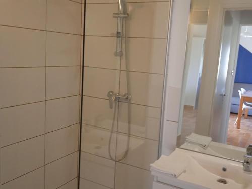y baño con ducha y lavamanos. en Holiday complex Le Domaine du Lambon, Prailles-La Couarde - semi-detached house, en Prailles