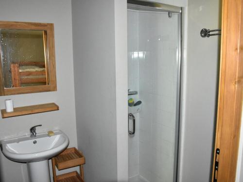 une salle de bain avec douche et lavabo dans l'établissement Grand appart. 4 pièces, mezzanine, 3 sdb, poêle, proche pistes - FR-1-464-222, à Pralognan-la-Vanoise