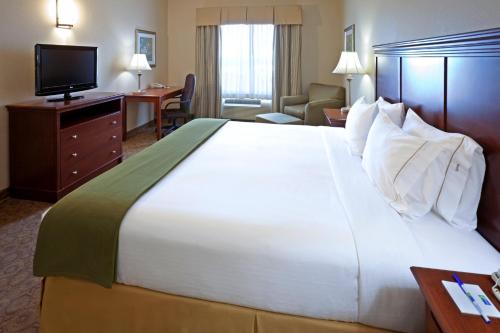 a hotel room with a large bed and a television at Holiday Inn Express Hotel & Suites Cedar Hill by IHG in Cedar Hill